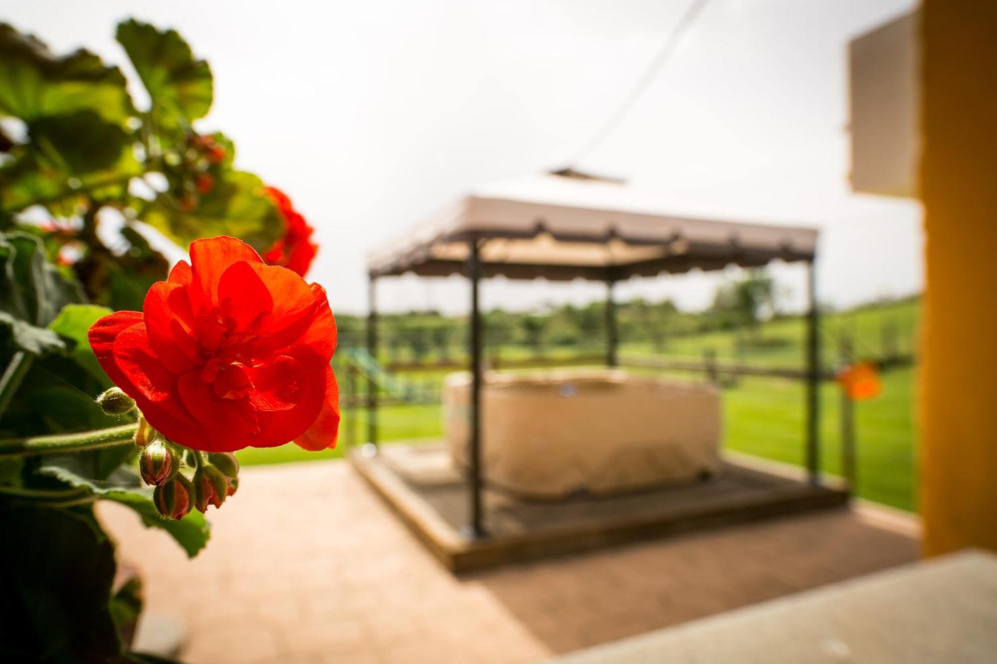 Agriturismo L.B.Stud บรักชาโน ห้อง รูปภาพ