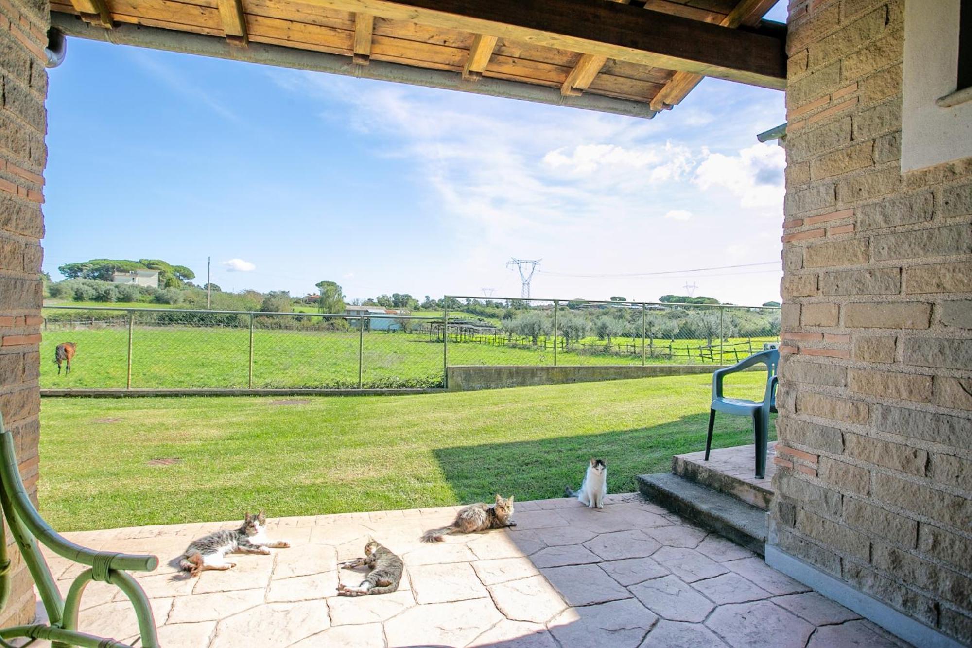 Agriturismo L.B.Stud บรักชาโน ภายนอก รูปภาพ