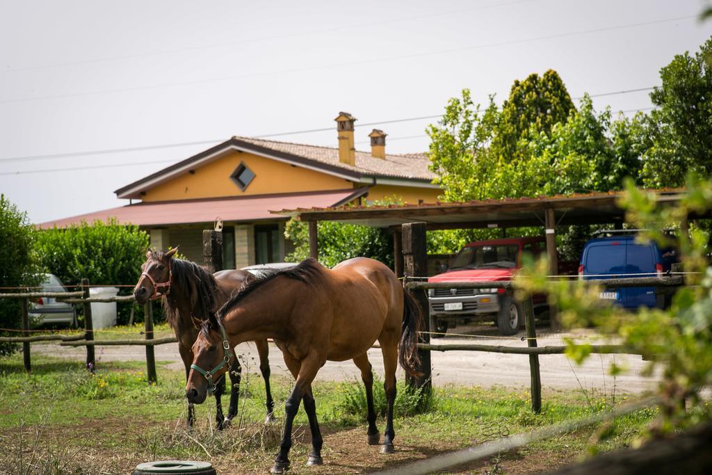 Agriturismo L.B.Stud บรักชาโน ภายนอก รูปภาพ